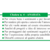 CHAKRA INCENSE - ANAHATA - immagine 2