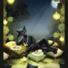 TAROCCHI DEI GATTI NERI - immagine 7