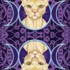 TAROCCHI DEI GATTI PAGANI - immagine 5