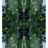 TAROCCHI DELLA FORESTA MAGICA - immagine 4