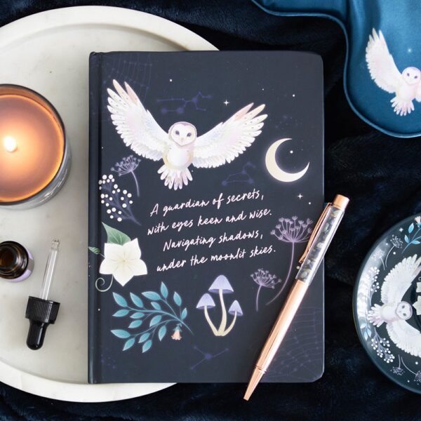 DIARIO CON PENNA IN SODALITE GUFO NOTTURNO