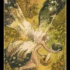 TAROCCHI DEL BOSCO SEGRETO - immagine 5