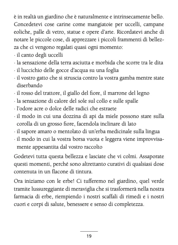 IL PICCOLO LIBRO DELLE ERBE - immagine 4