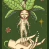 HERBARIUM ORACLE CARD - immagine 4