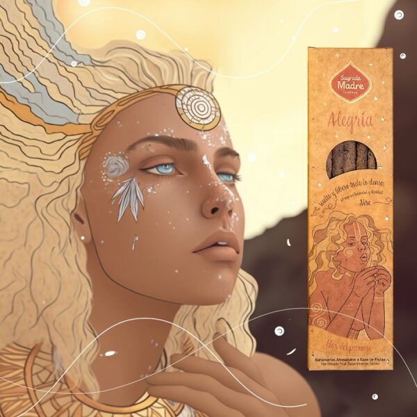 INCENSO 5 ELEMENTI - ARIA (GIOIA) - immagine 2