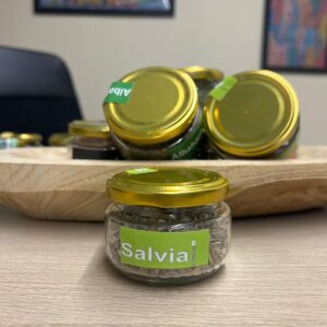 BARATTOLO DI SALVIA