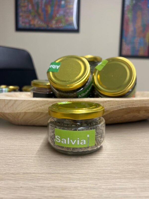 BARATTOLO DI SALVIA