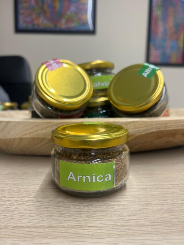BARATTOLO DI ARNICA
