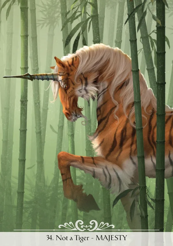 UNICORN ORACLE - immagine 5